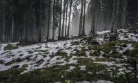 brand_scenery05.jpg